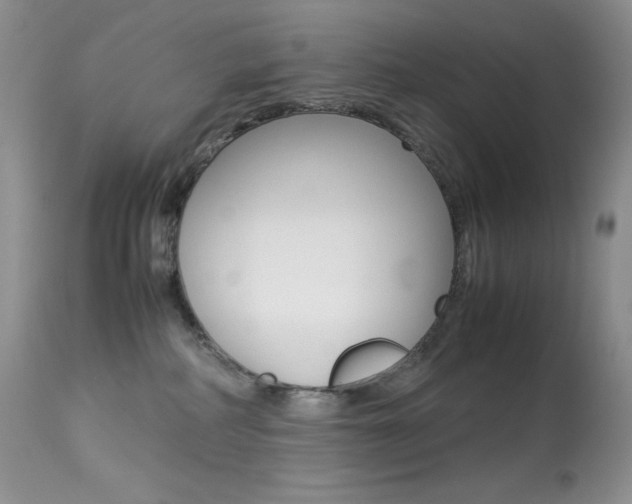 X0000113640234200909181337