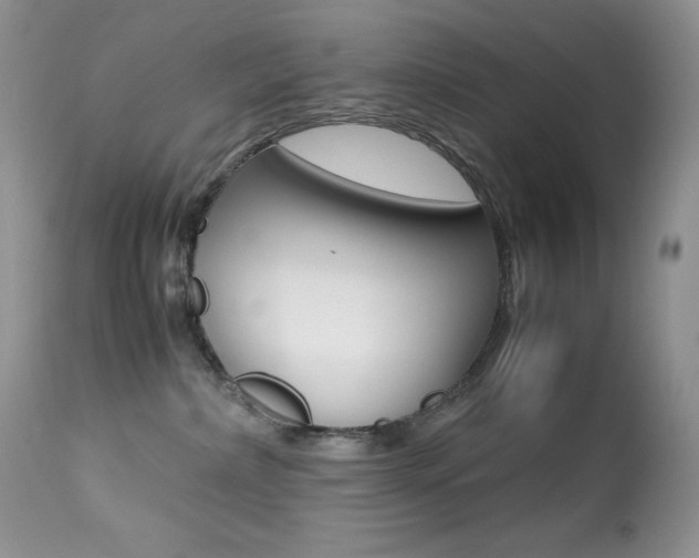 X0000113640236200909181337