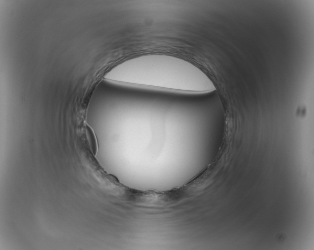 X0000113640237200909181337