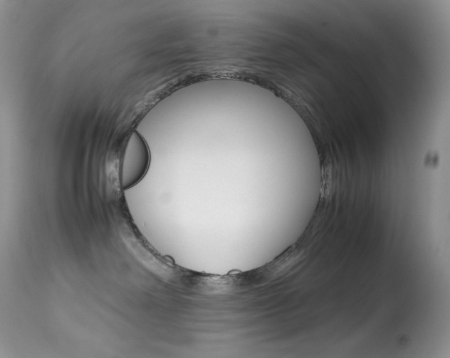 X0000113640238200909181337