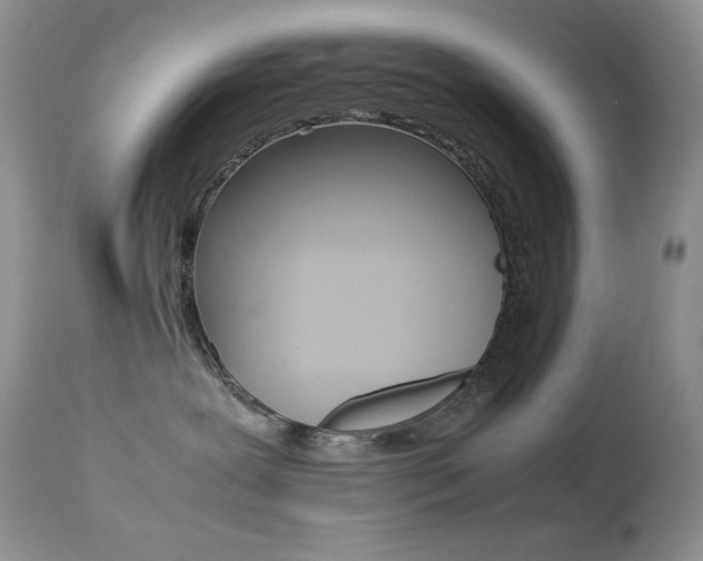 X0000113640239200909181337
