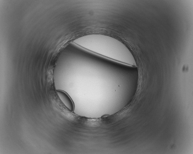 X0000113640240200909181337