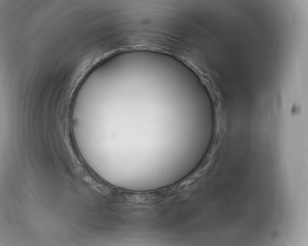 X0000113640241200909181336
