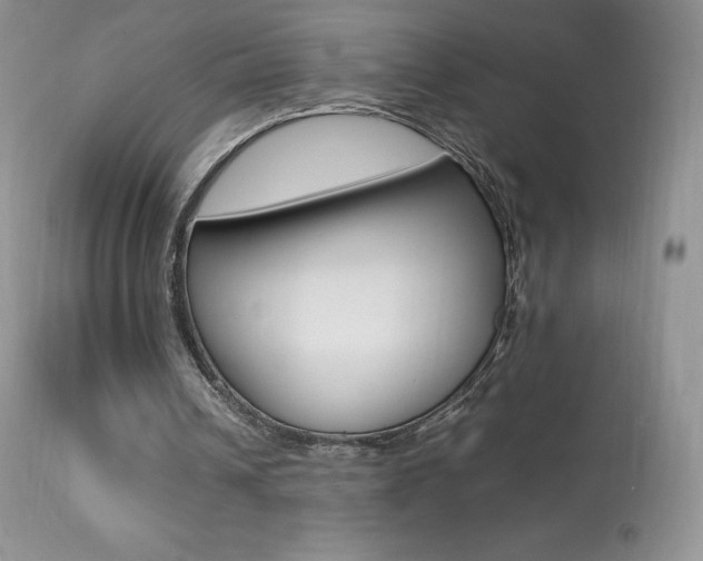 X0000113640242200909181336