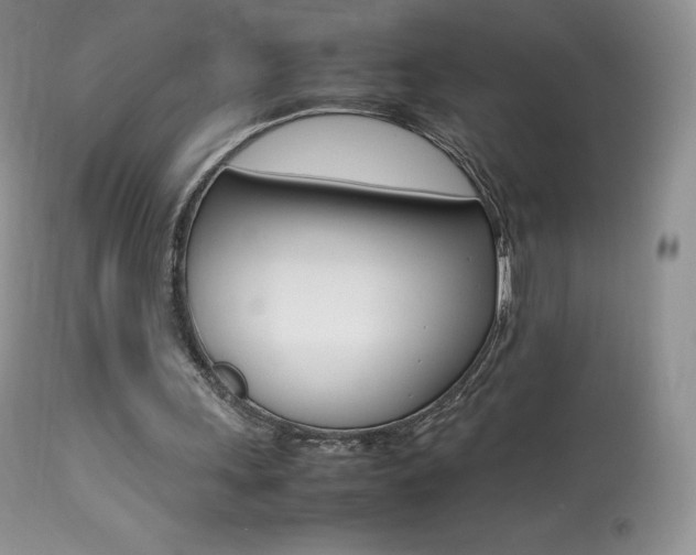 X0000113640243200909181336