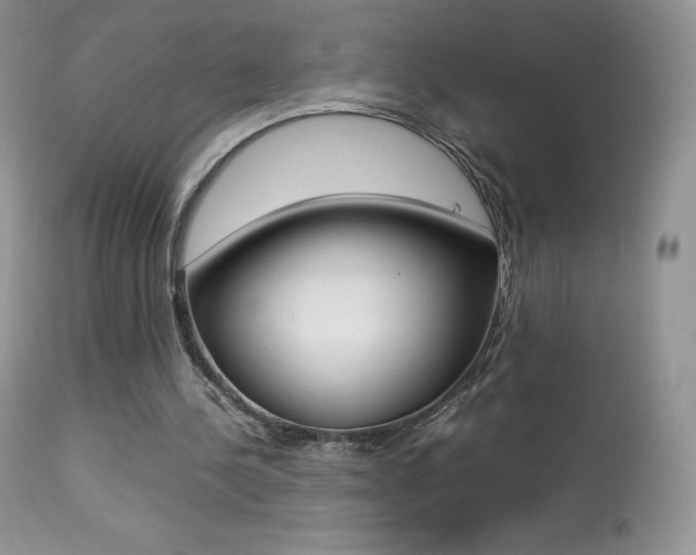X0000113640244200909181336