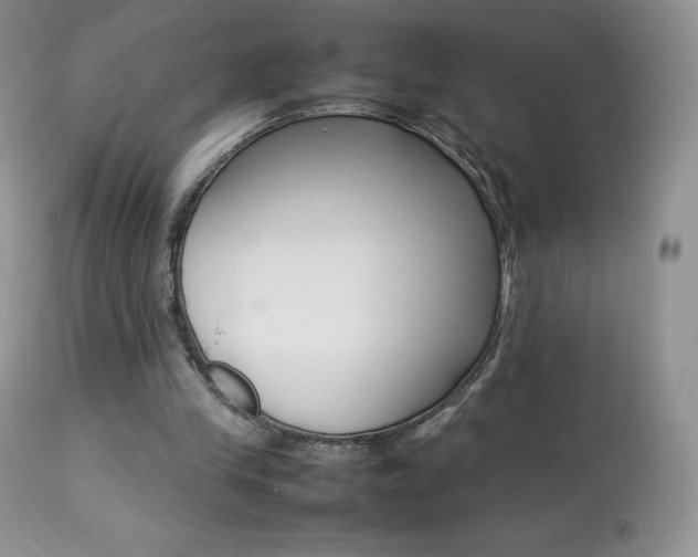 X0000113640245200909181336