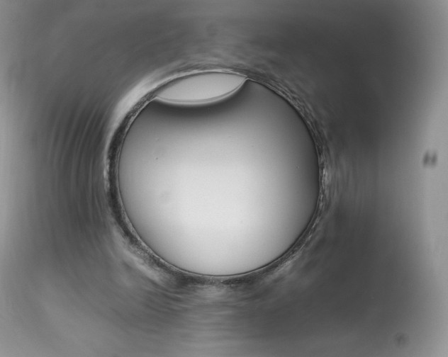 X0000113640246200909181336