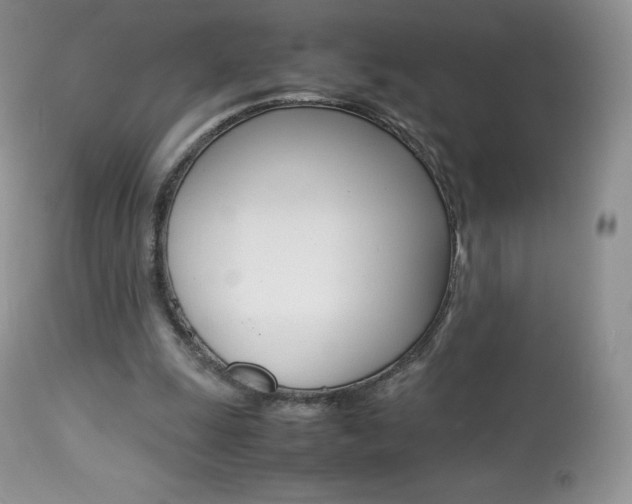 X0000113640247200909181336