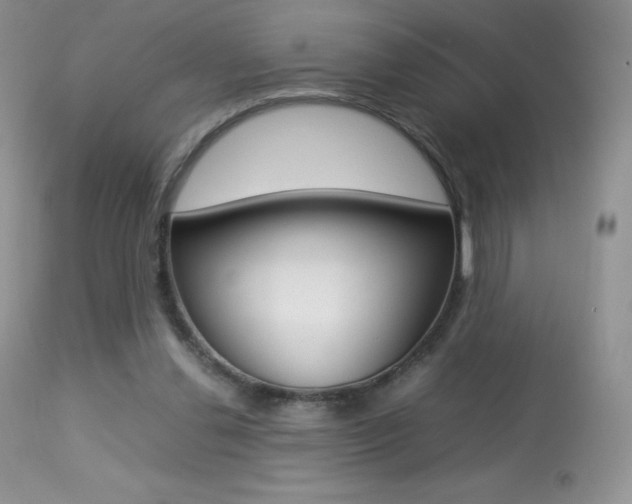 X0000113640252200909181336