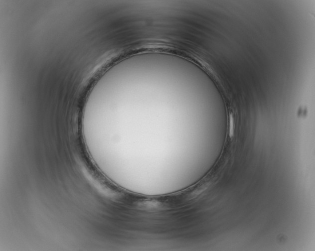 X0000113640253200909181336