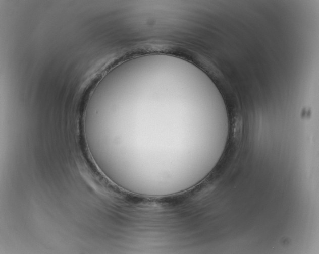 X0000113640254200909181336