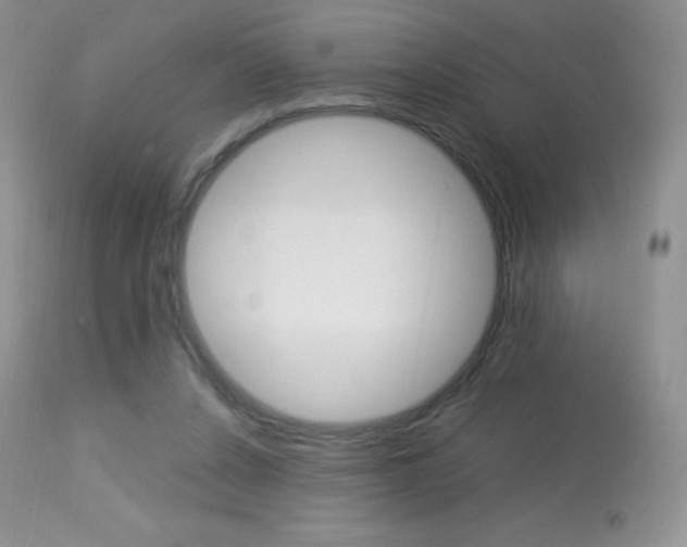 X0000113640256200909181336