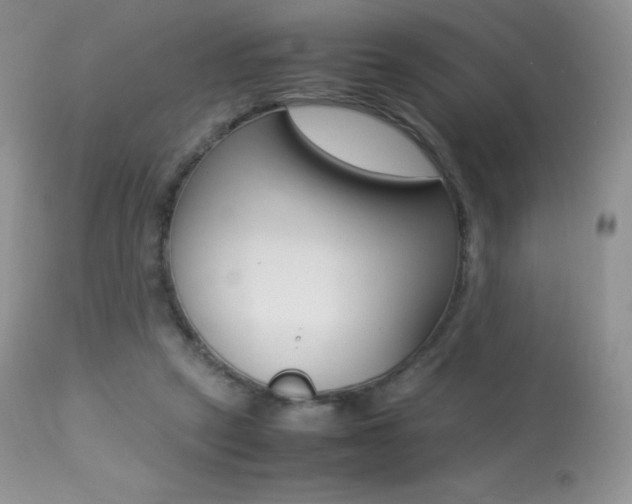 X0000113640257200909181336