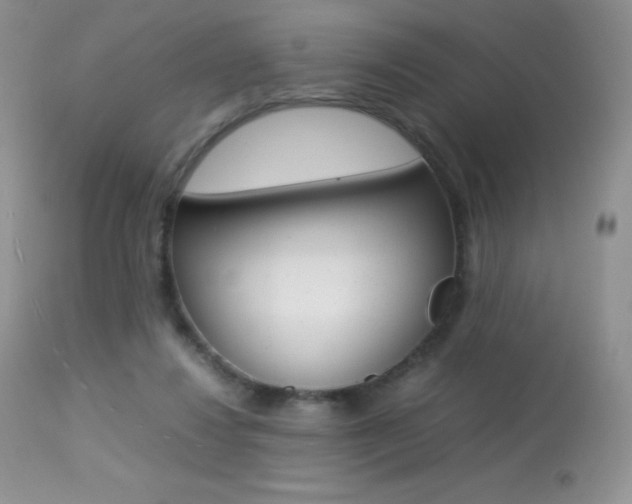 X0000113640260200909181336