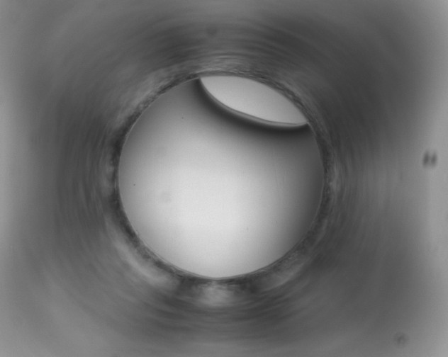 X0000113640261200909181336