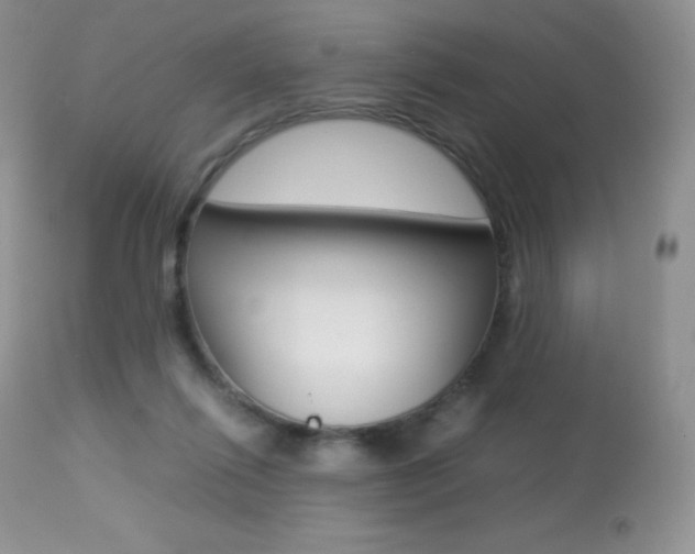 X0000113640262200909181336