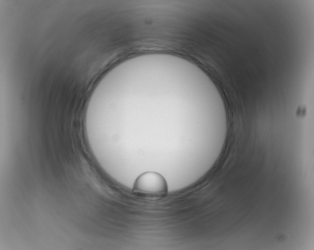 X0000113640264200909181336
