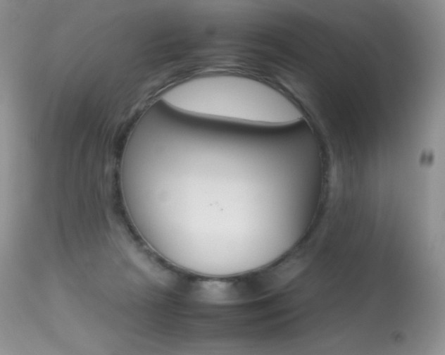 X0000113640265200909181336