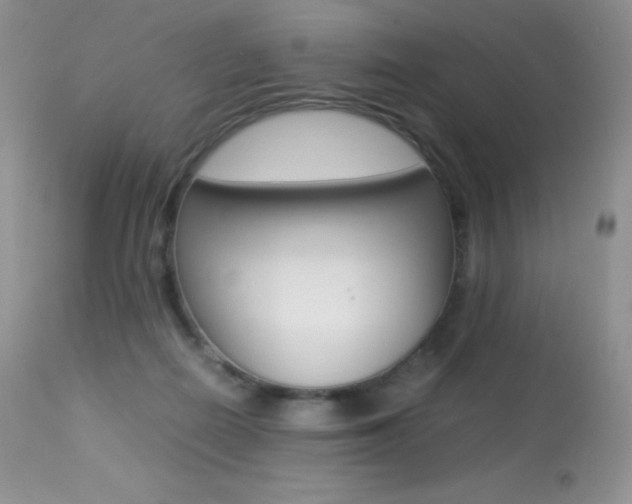 X0000113640266200909181336