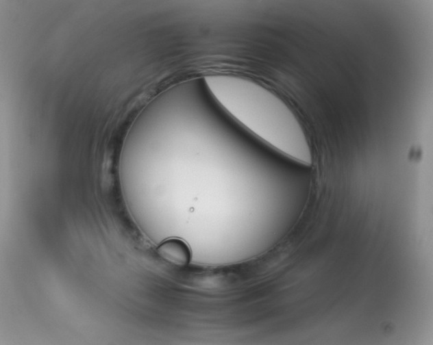 X0000113640267200909181336