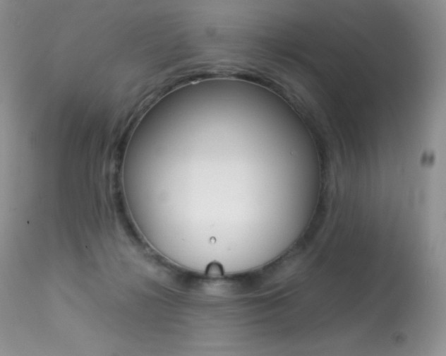 X0000113640268200909181336