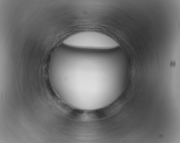 X0000113640270200909181337