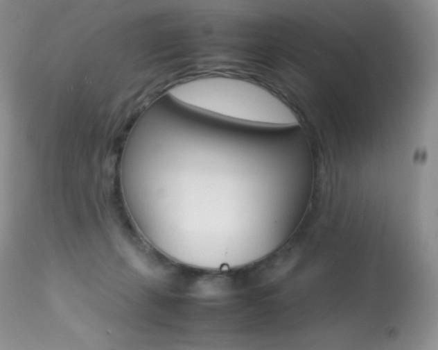 X0000113640271200909181337