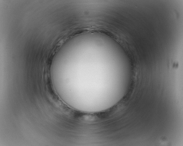 X0000113640272200909181337