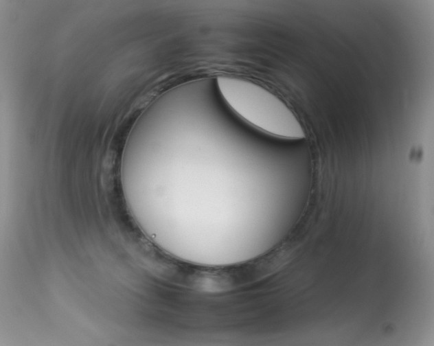 X0000113640275200909181337