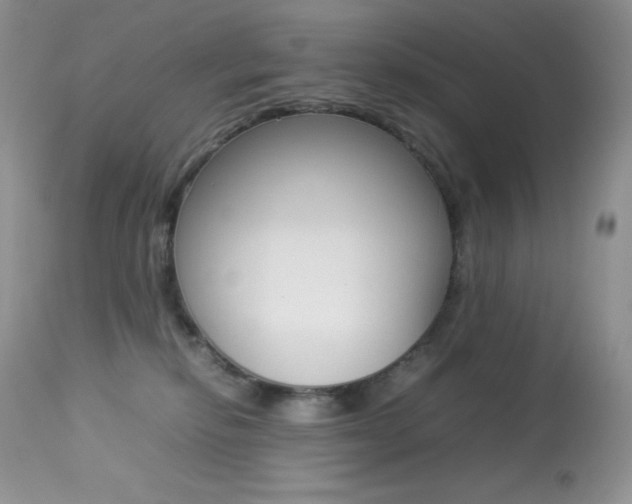 X0000113640278200909181337