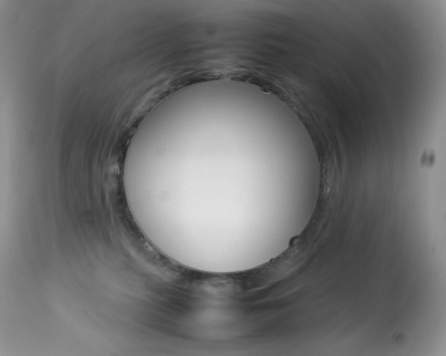 X0000113640279200909181337