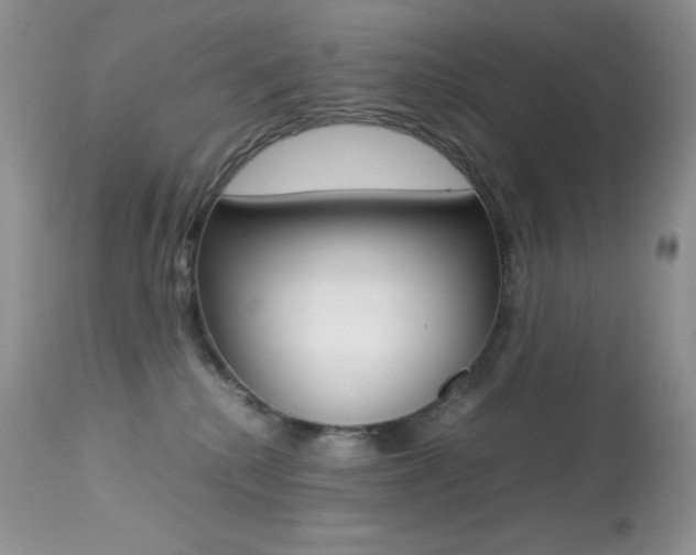 X0000113640280200909181337