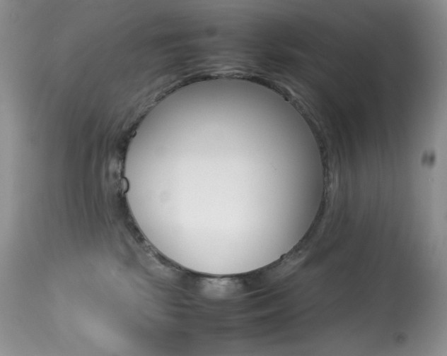 X0000113640281200909181337