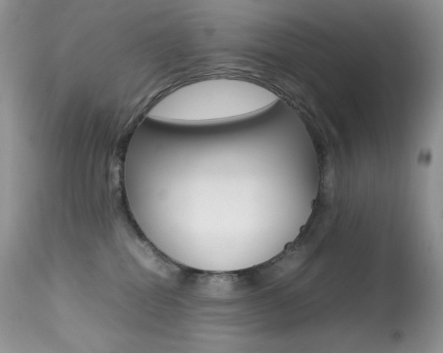 X0000113640282200909181337
