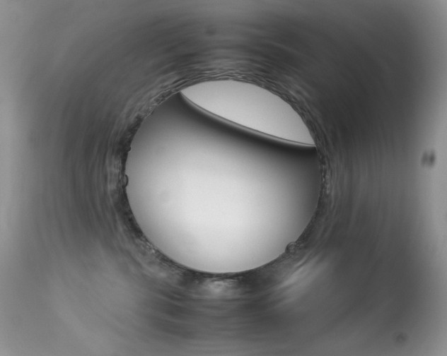 X0000113640283200909181337