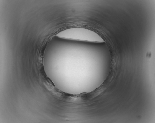 X0000113640284200909181337