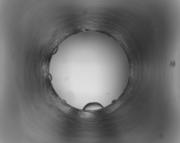 X0000113640285200909181337