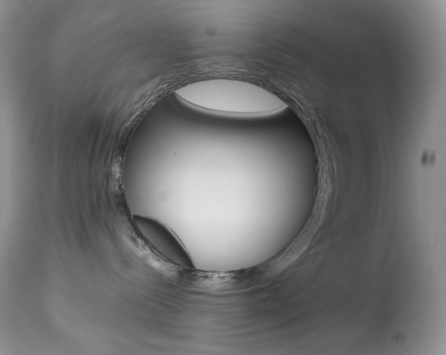 X0000113640288200909181337