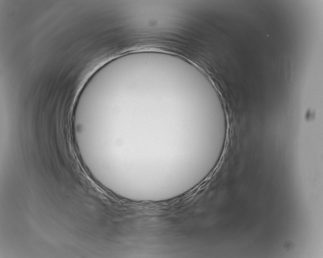X0000113640289200909181336