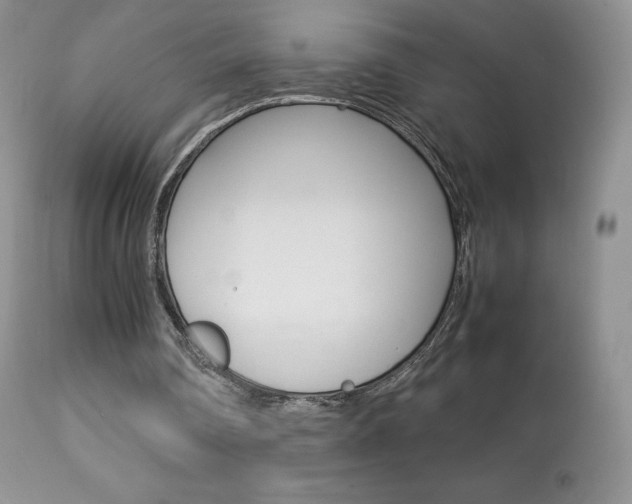 X0000113640290200909181336