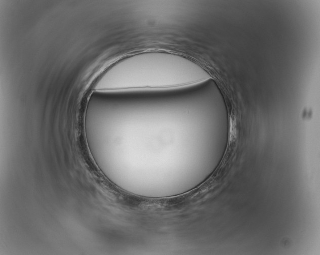 X0000113640291200909181336