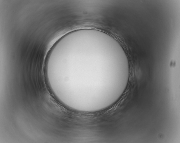 X0000113640292200909181336