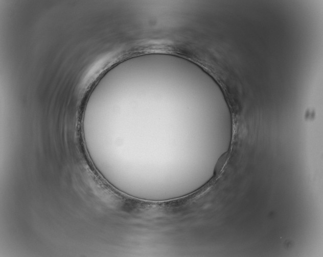X0000113640293200909181336