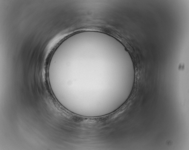 X0000113640294200909181336