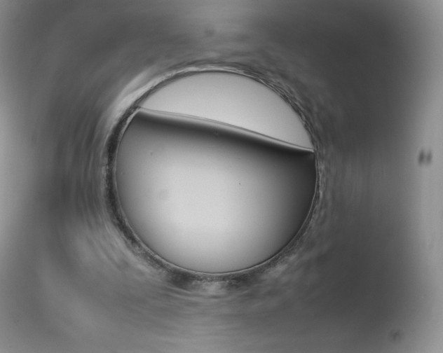 X0000113640295200909181336