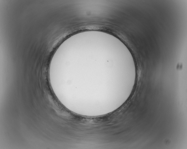 X0000113640297200909181336
