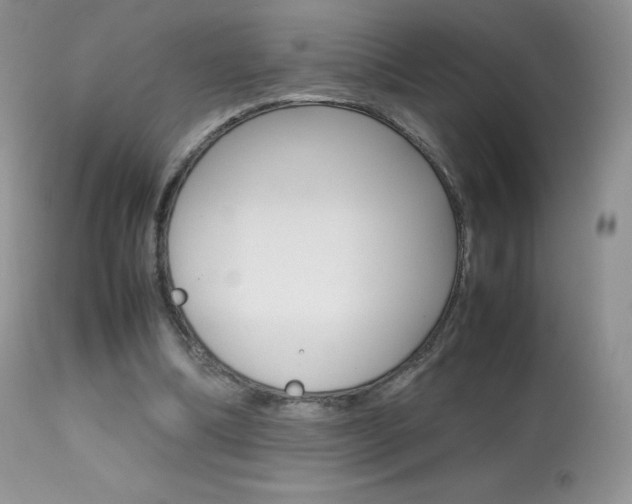 X0000113640298200909181336