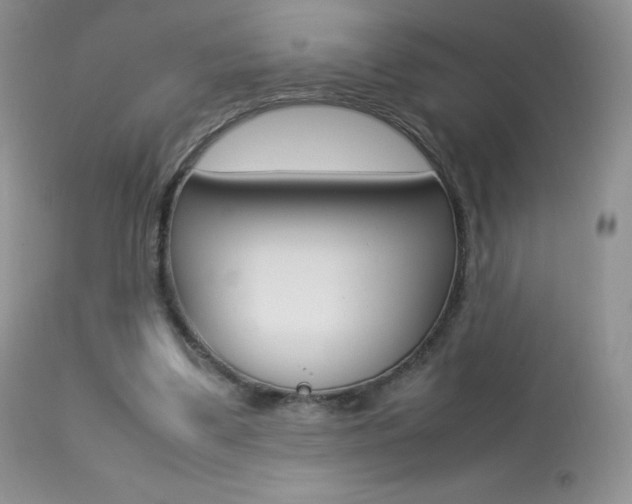X0000113640299200909181336