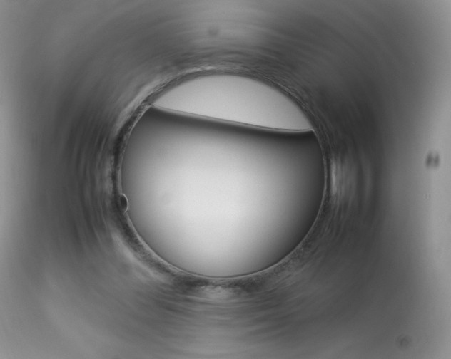 X0000113640300200909181336